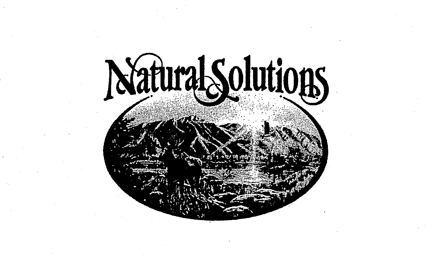 Trademark Logo NATURAL SOLUTIONS