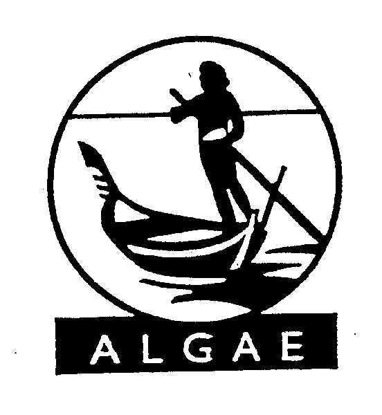 ALGAE