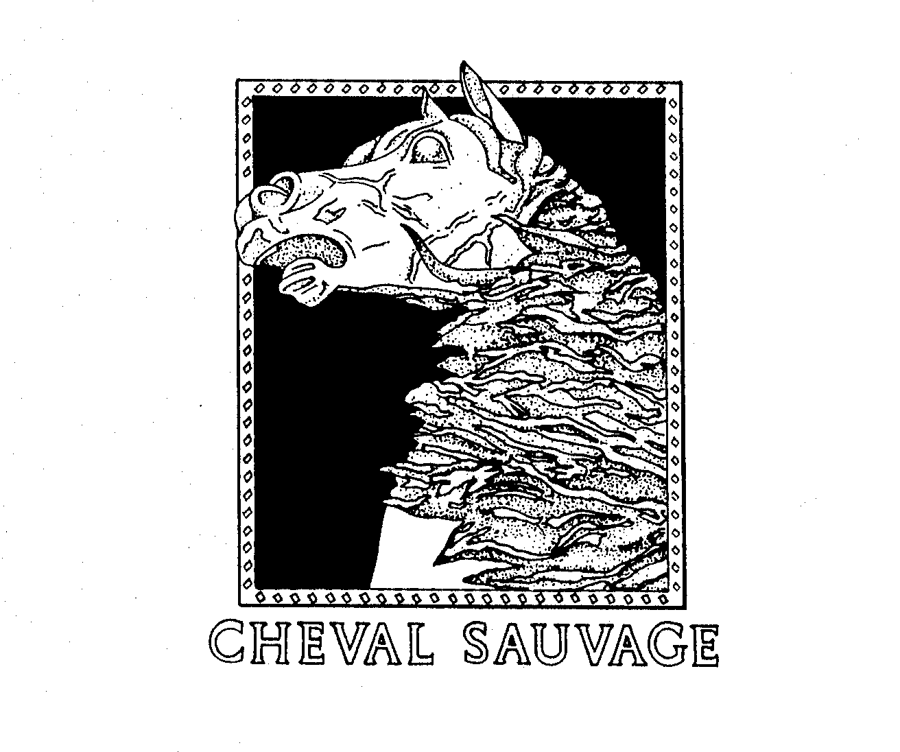 CHEVAL SAUVAGE