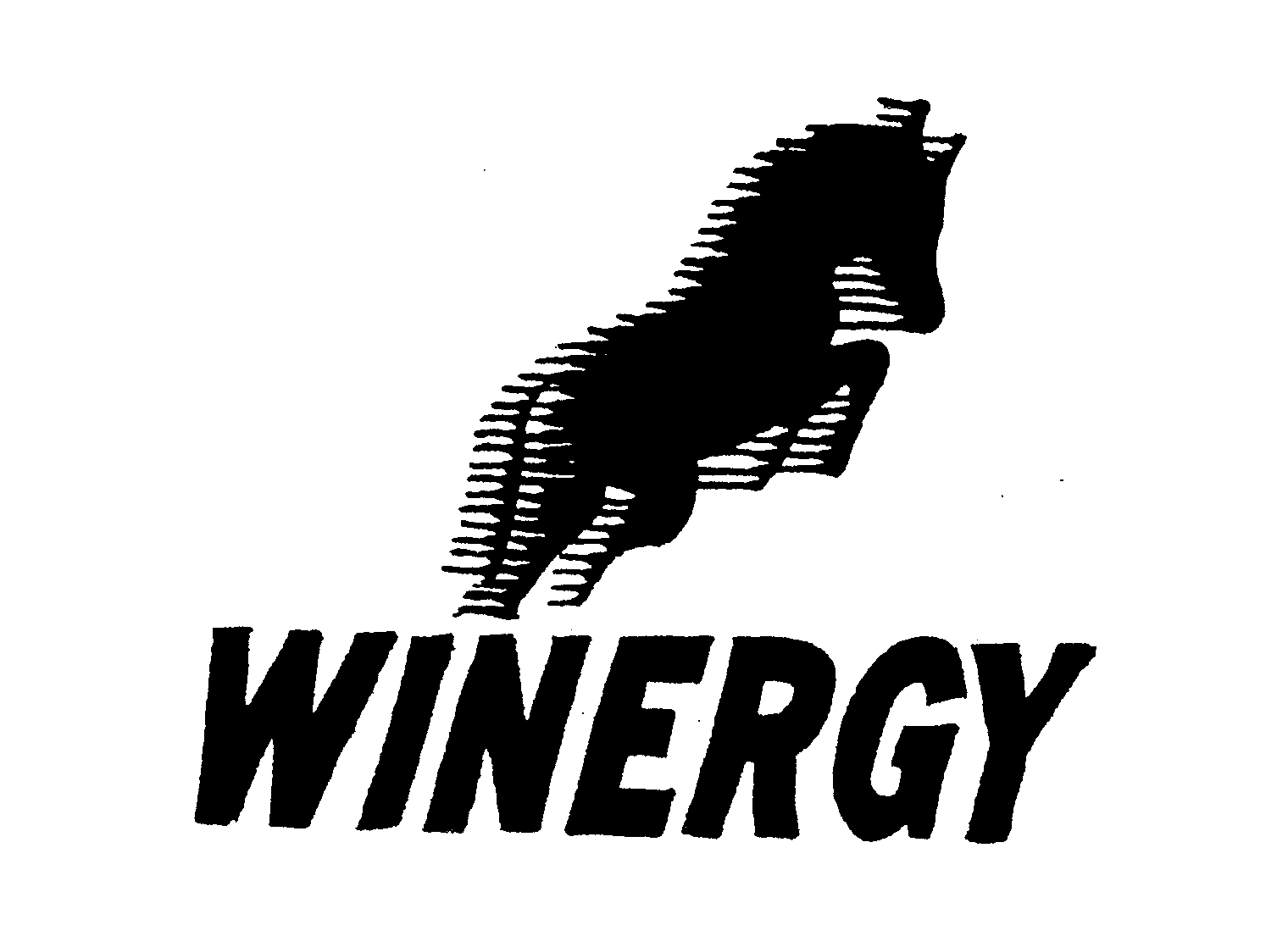 Trademark Logo WINERGY