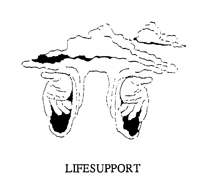 Trademark Logo LIFESUPPORT