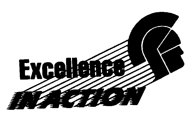 EXCELLENCE IN ACTION