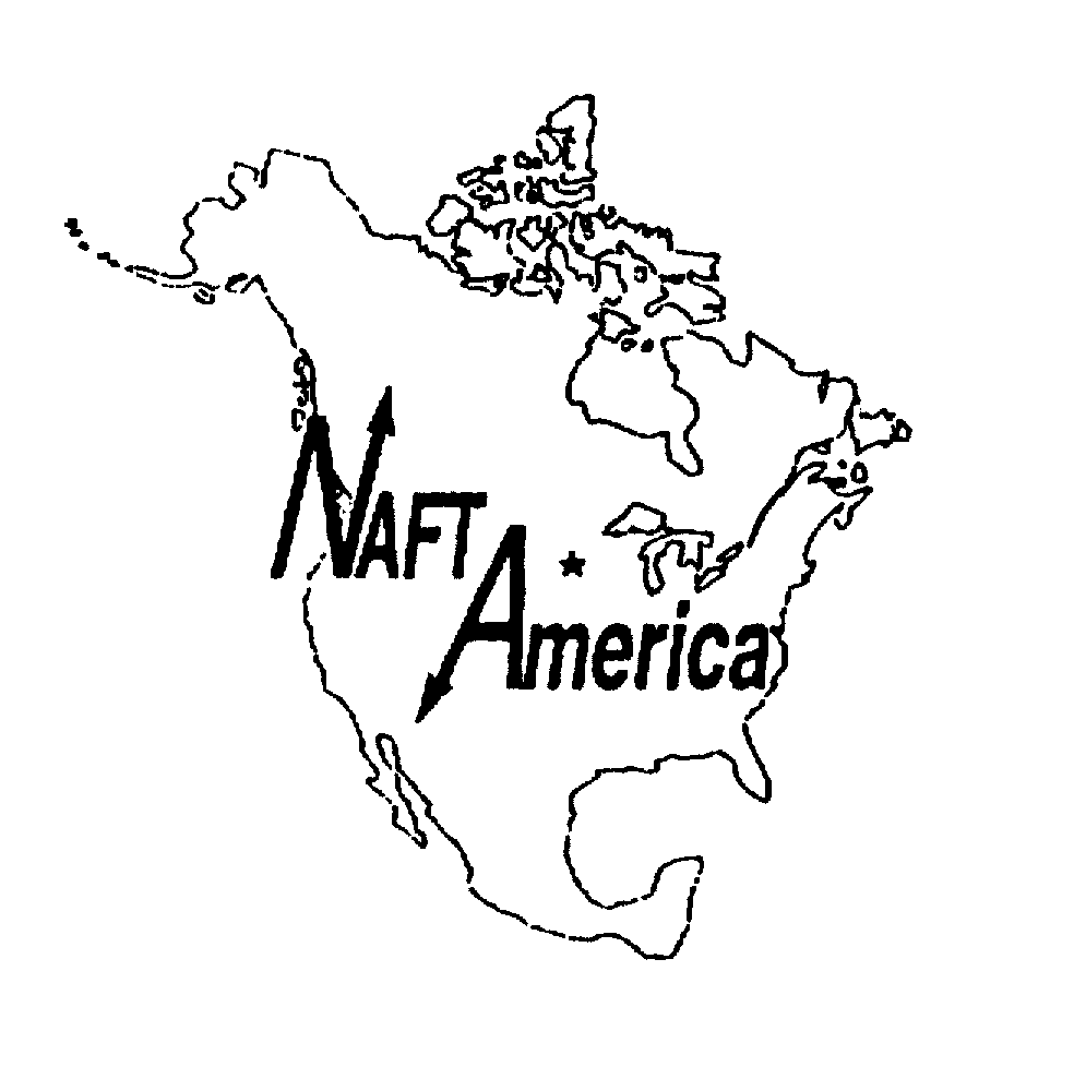 Trademark Logo NAFT AMERICA