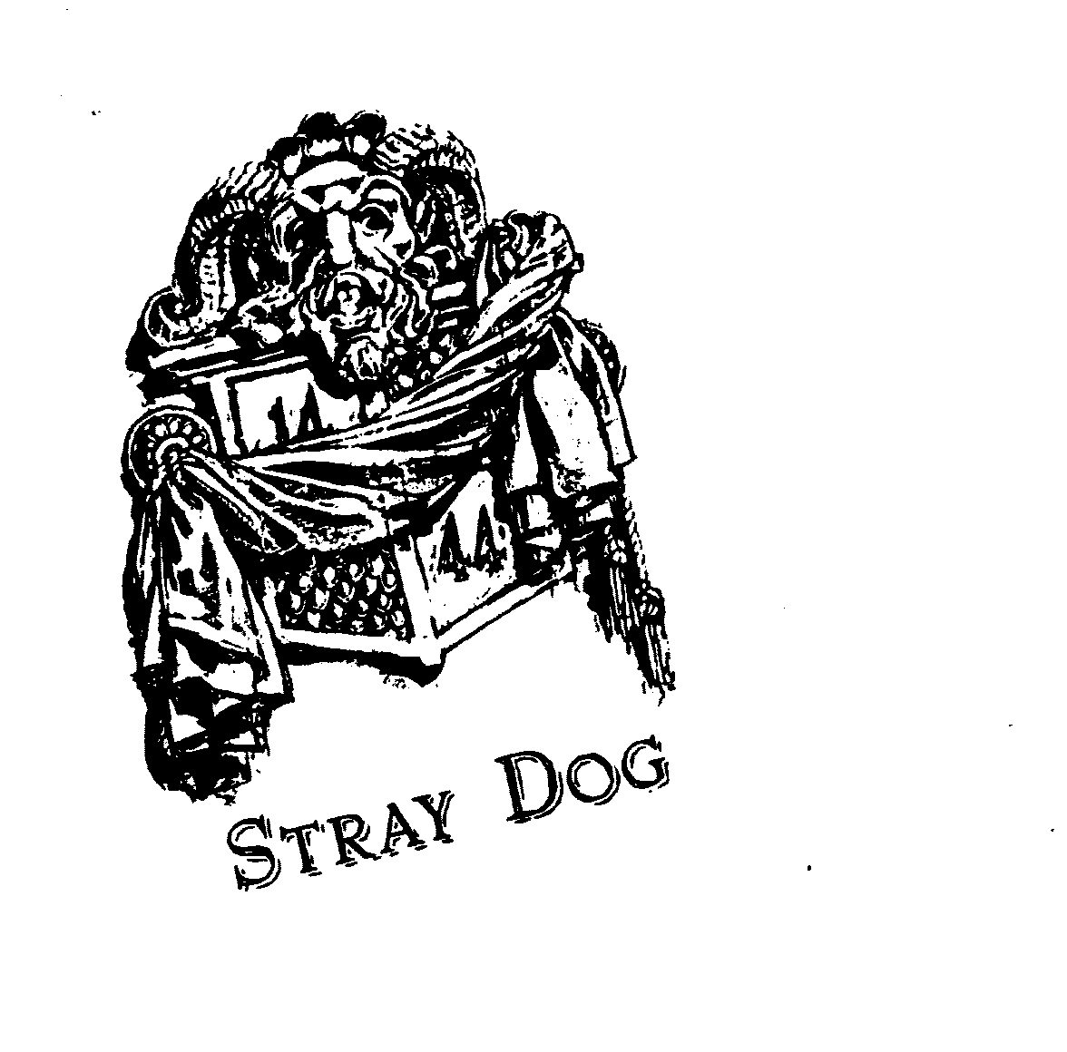 STRAY DOG