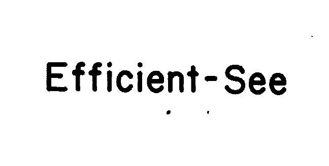  EFFICIENT-SEE