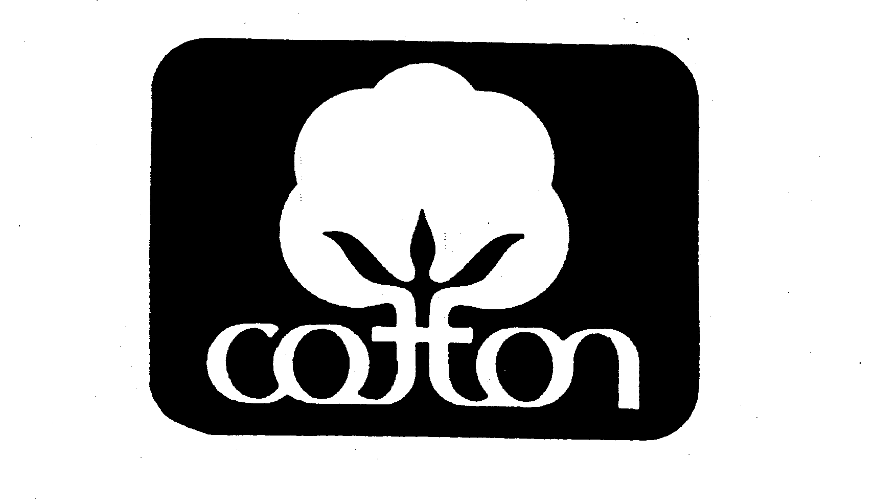  COTTON