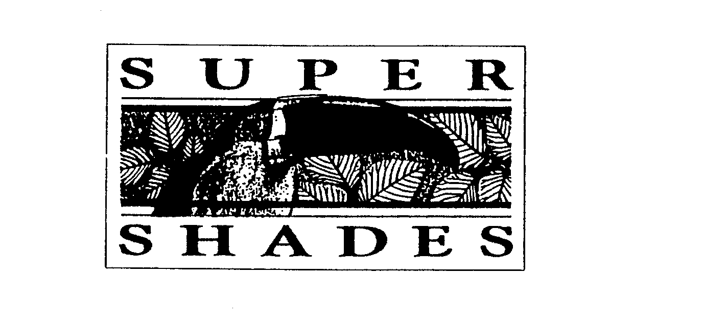 SUPER SHADES