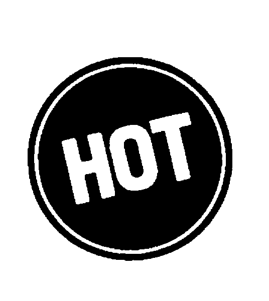 Trademark Logo HOT