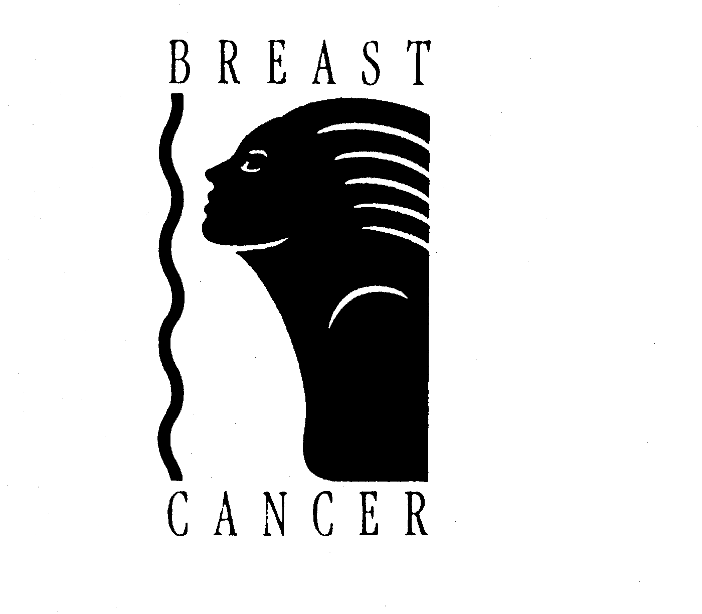  BREAST CANCER