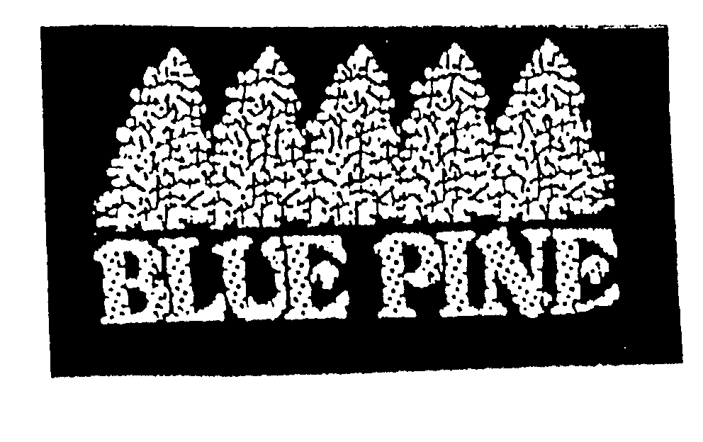  BLUE PINE