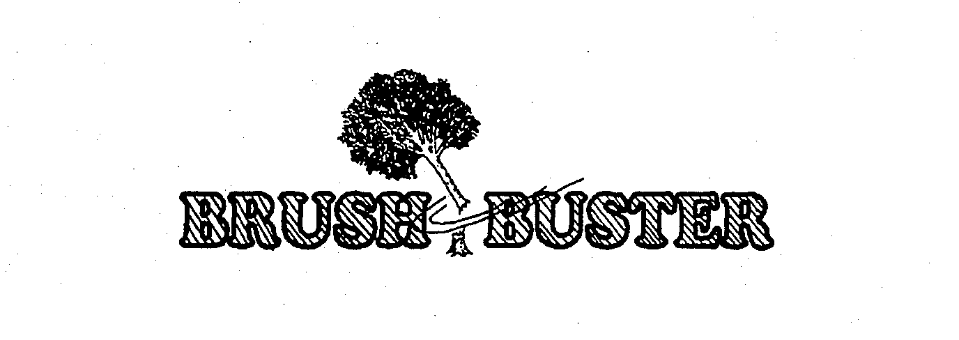 BRUSH BUSTER