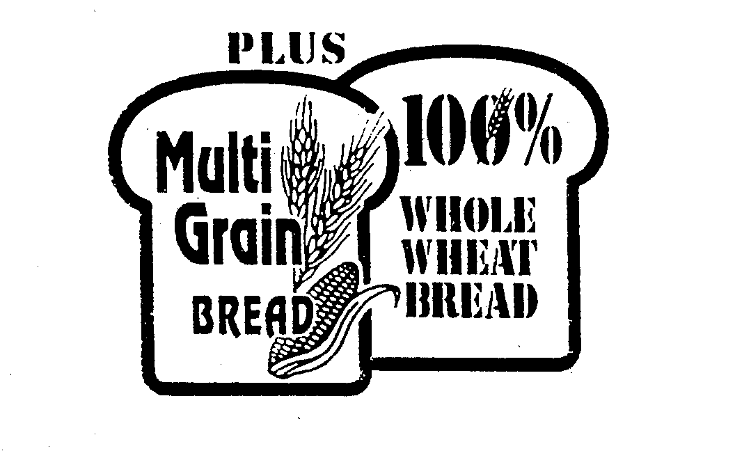  PLUS MULTI GRAIN BREAD 100% WHOLE WHEAT BREAD