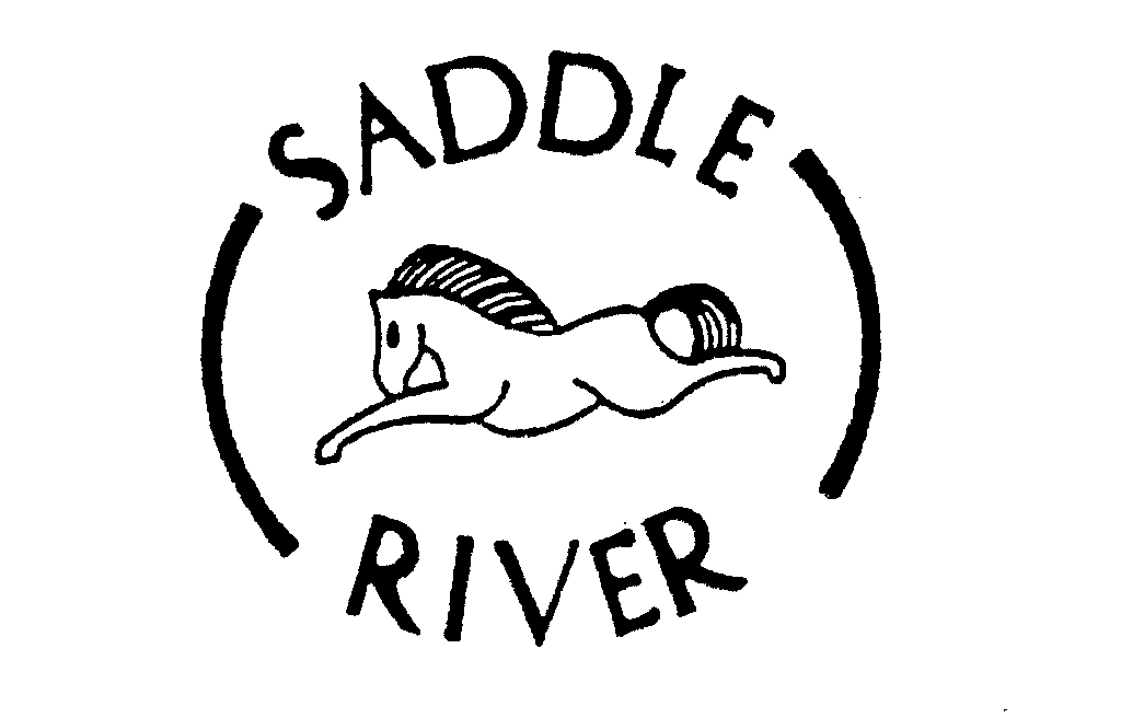 SADDLE RIVER