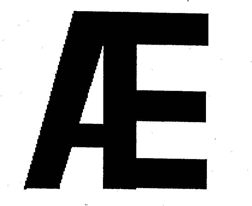  AE