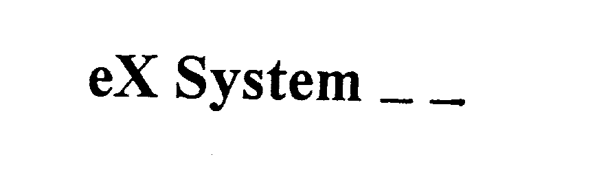  EX SYSTEM --