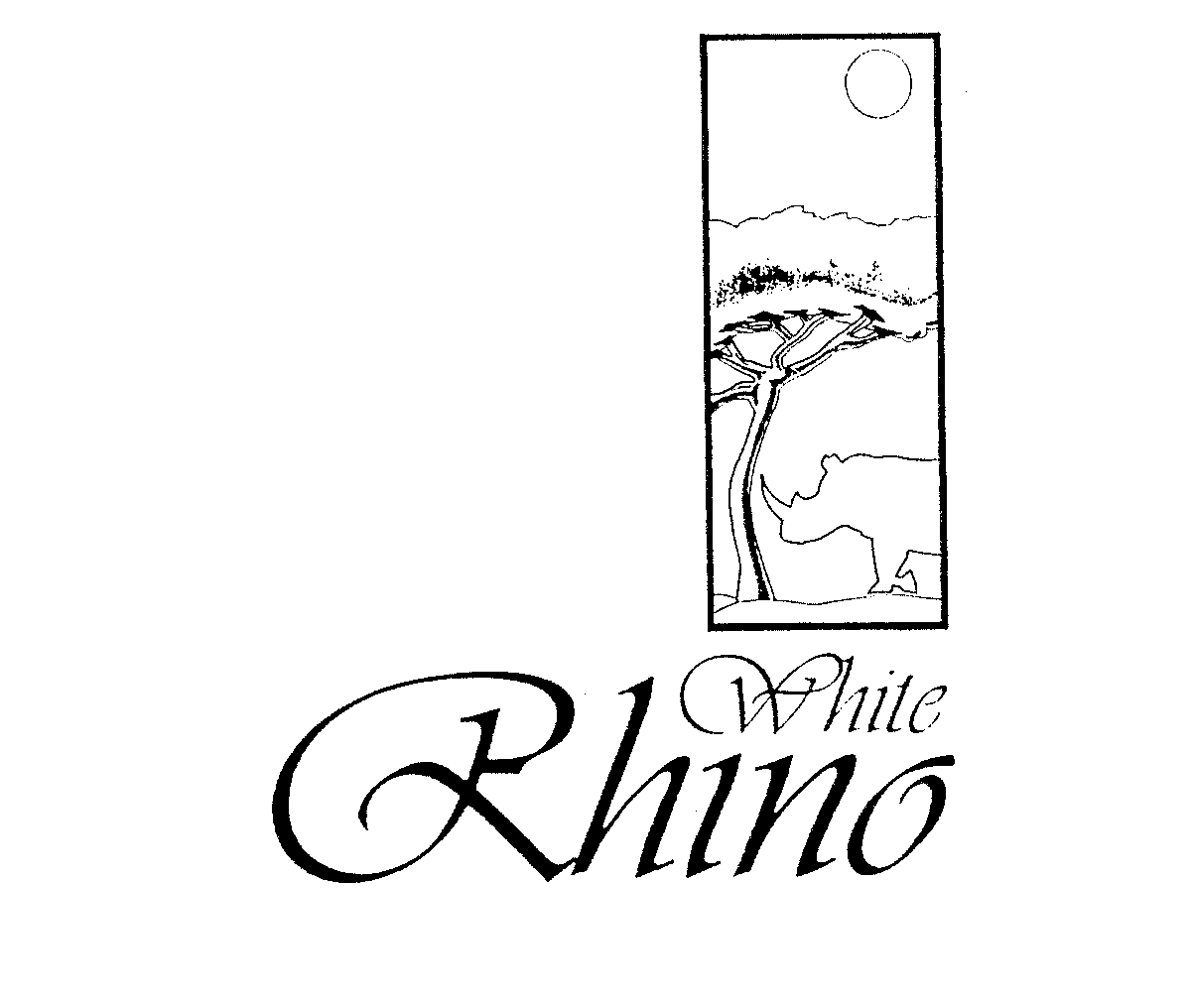 WHITE RHINO