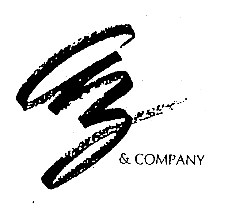 Trademark Logo A Z & COMPANY