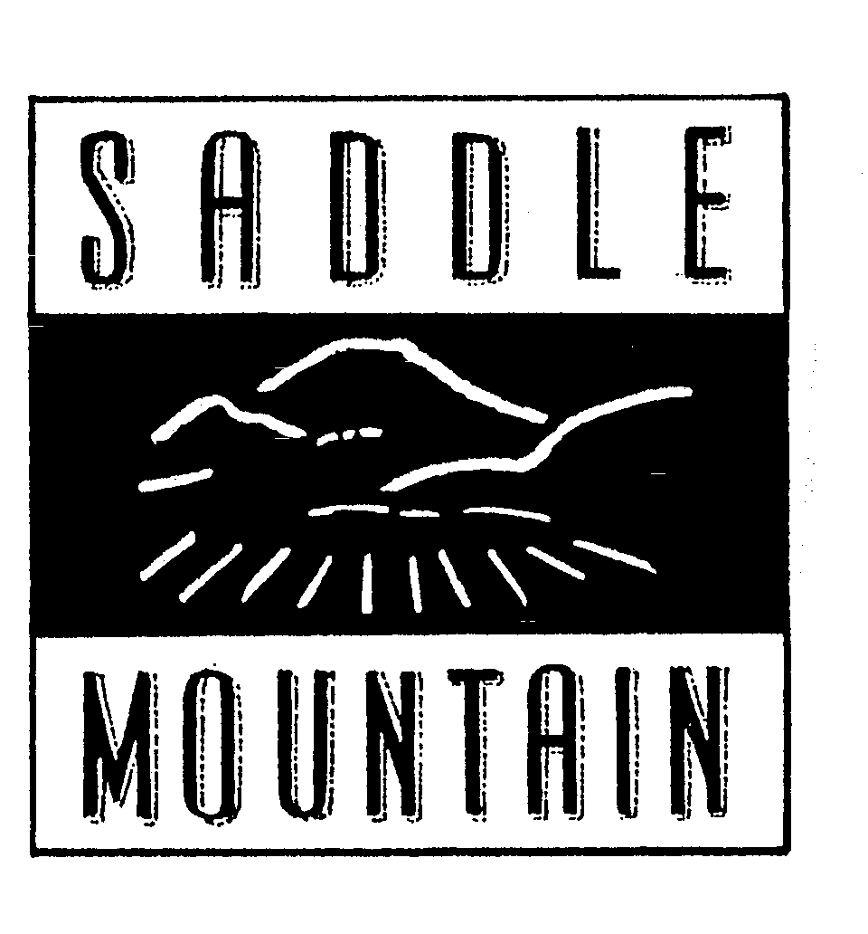 Trademark Logo SADDLE MOUNTAIN