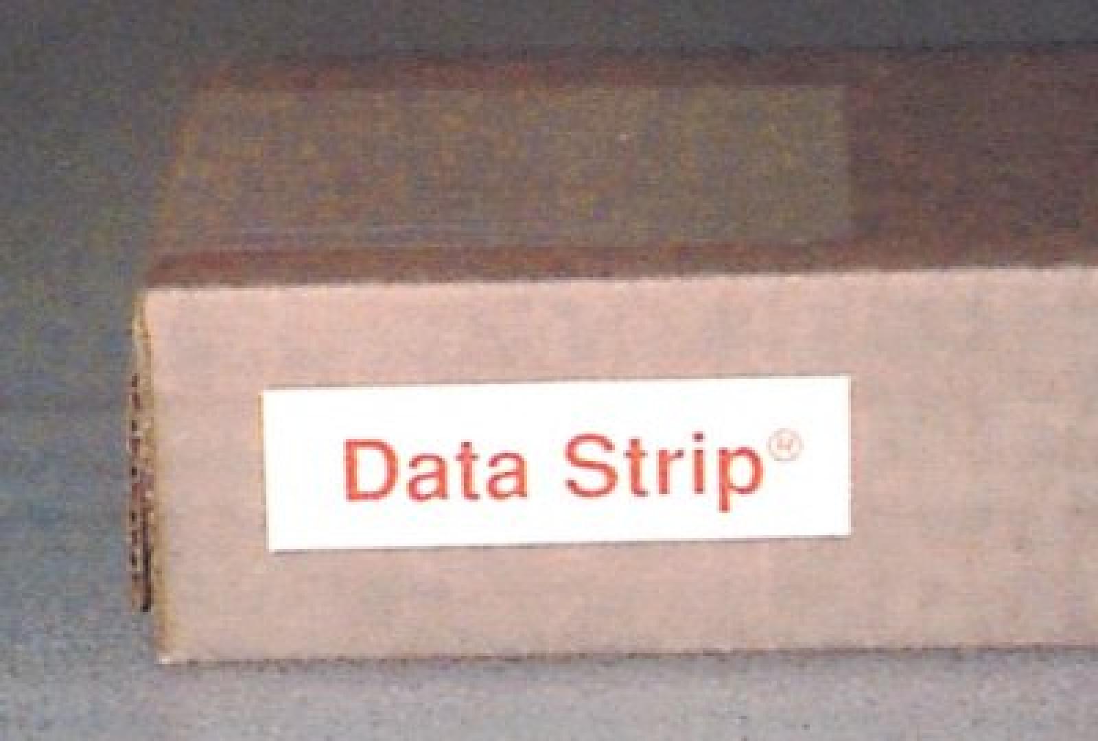  DATA STRIP