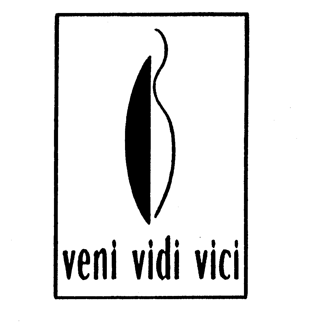 Veni Vidi Vici – Bog Road Designs