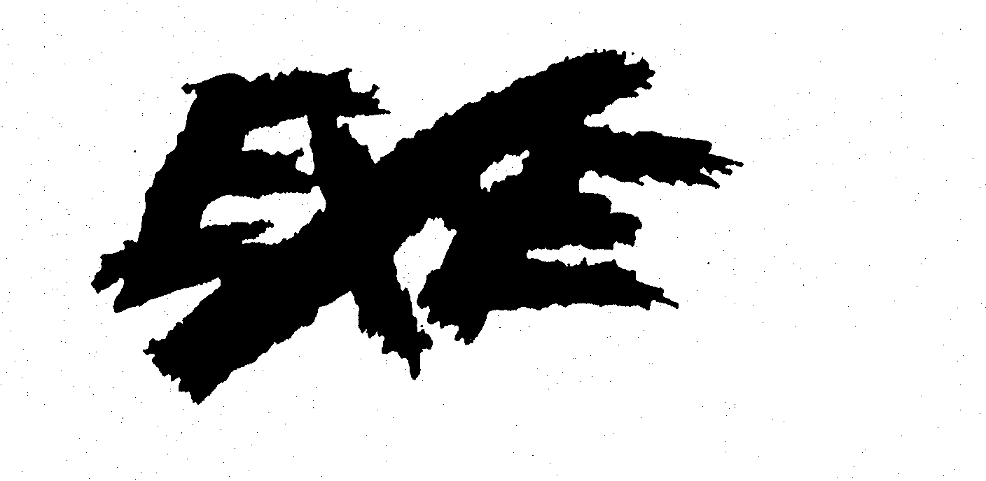 EXE