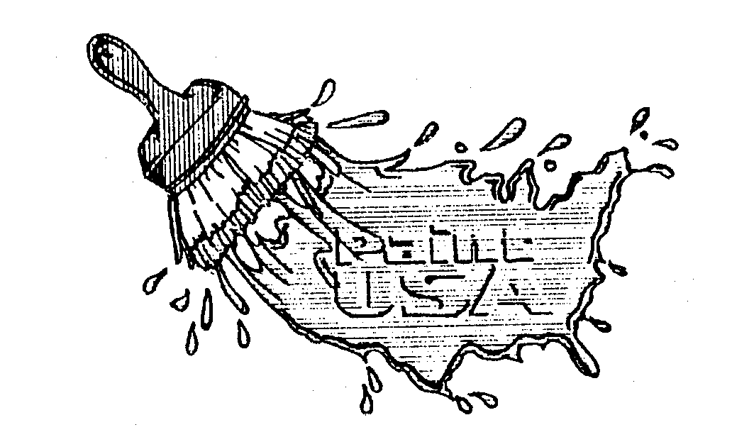 Trademark Logo PAINT USA