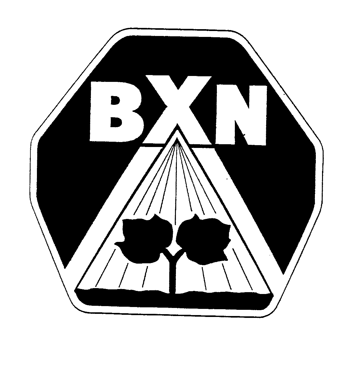 Trademark Logo BXN