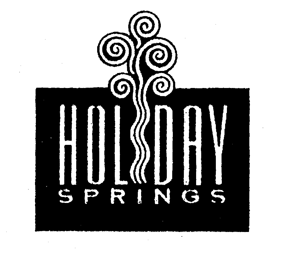  HOLIDAY SPRINGS
