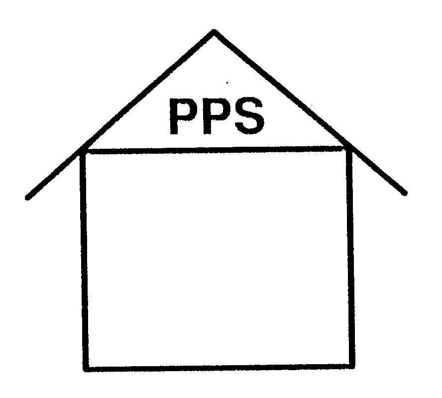  PPS