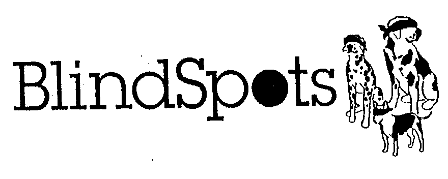 Trademark Logo BLINDSPOTS