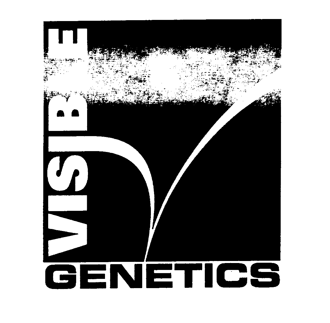  VISIBLE GENETICS