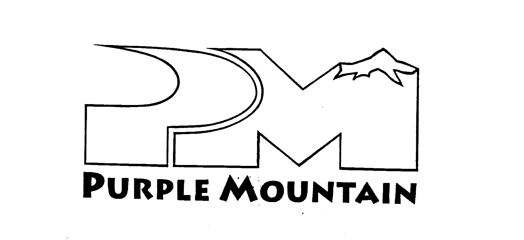  PM PURPLE MOUNTAIN