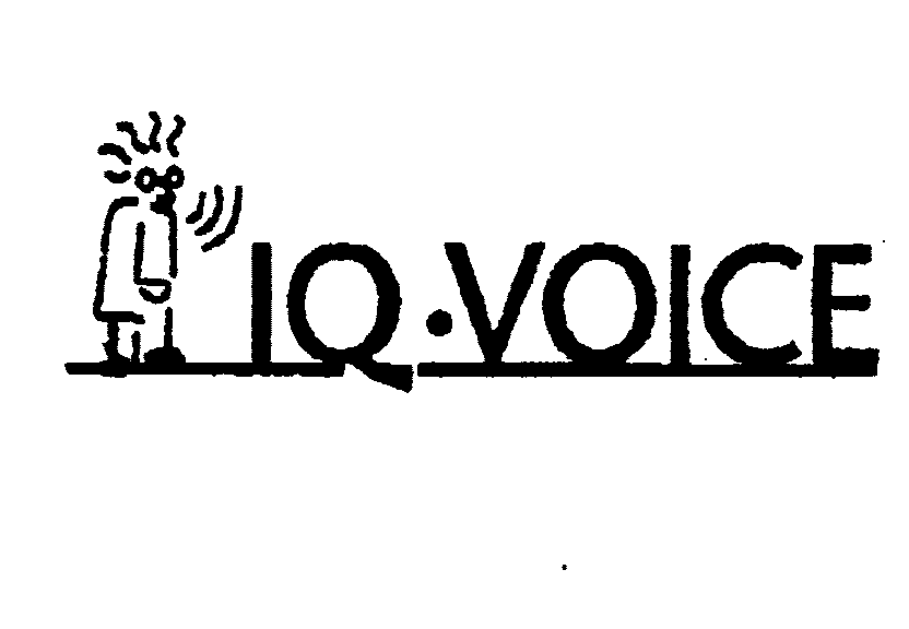  IQ VOICE