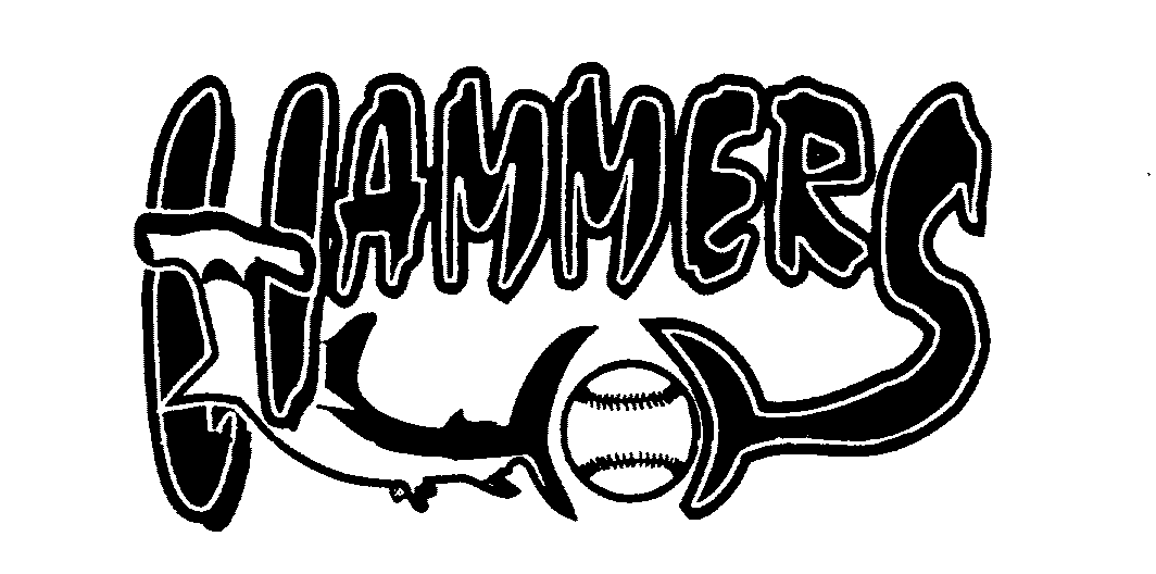Trademark Logo HAMMERS