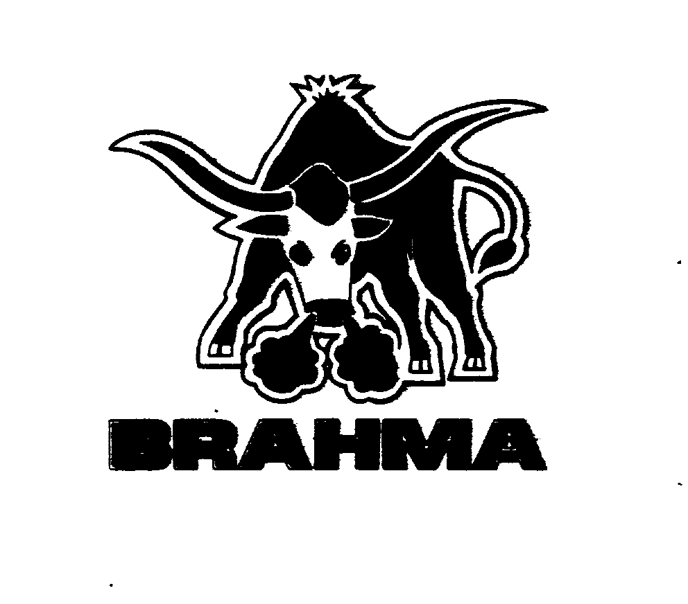  BRAHMA