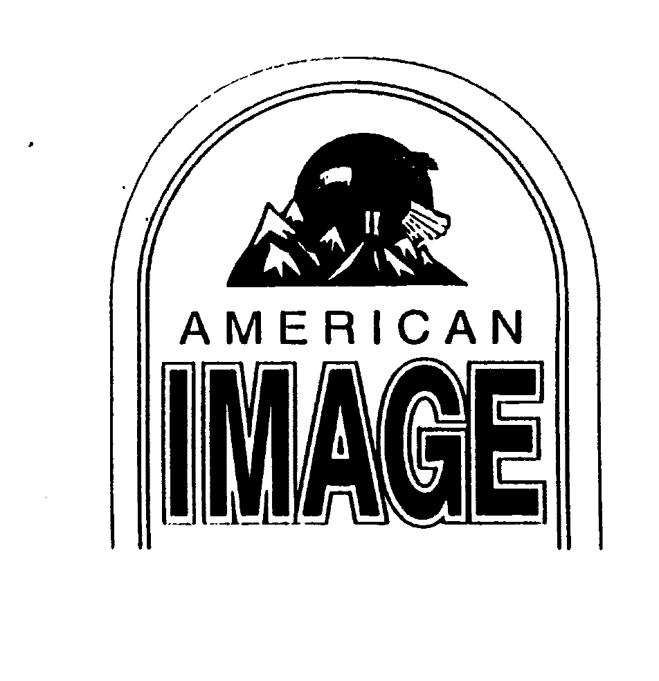  AMERICAN IMAGE