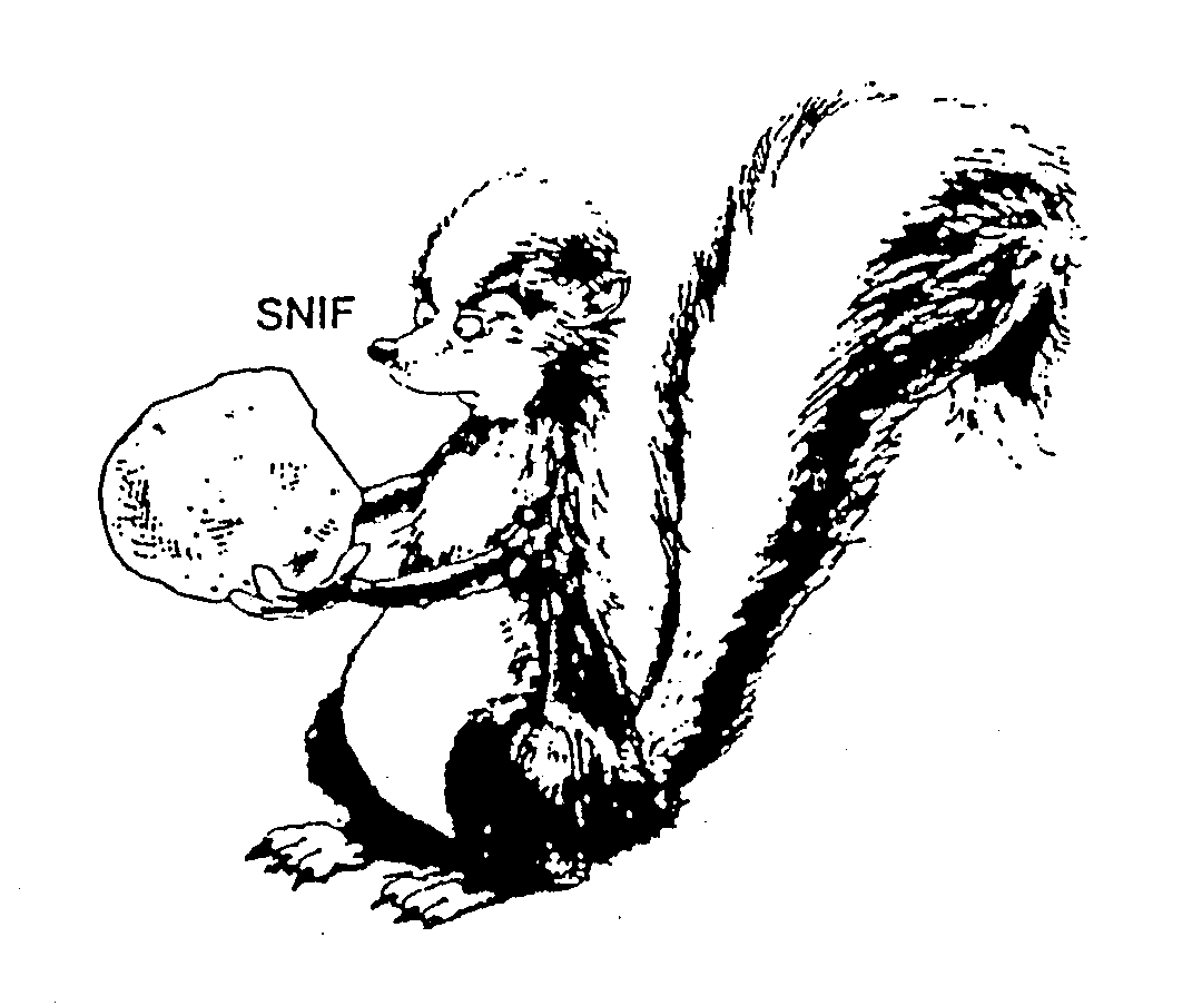 SNIF