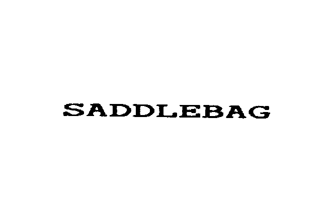 SADDLEBAG