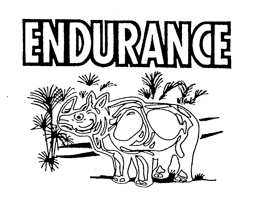  ENDURANCE