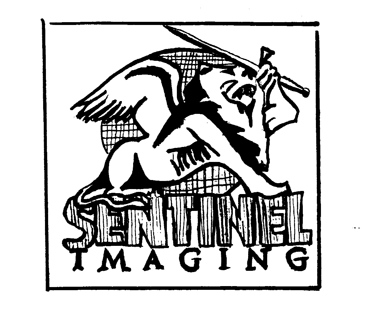  SENTINEL IMAGING