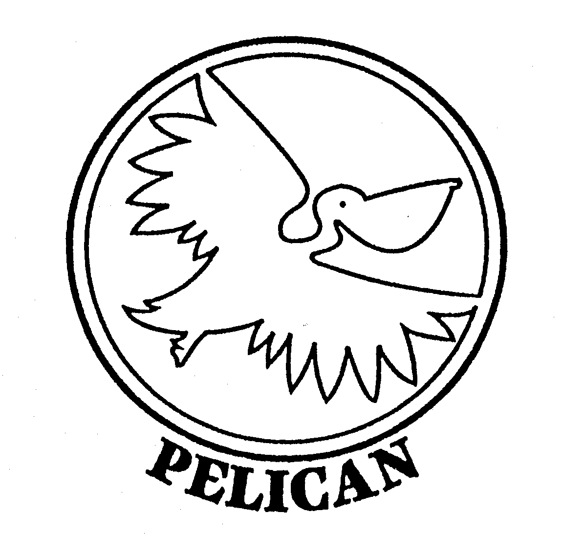 PELICAN