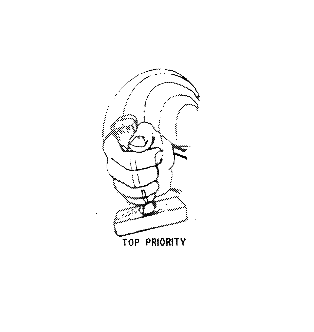 Trademark Logo TOP PRIORITY