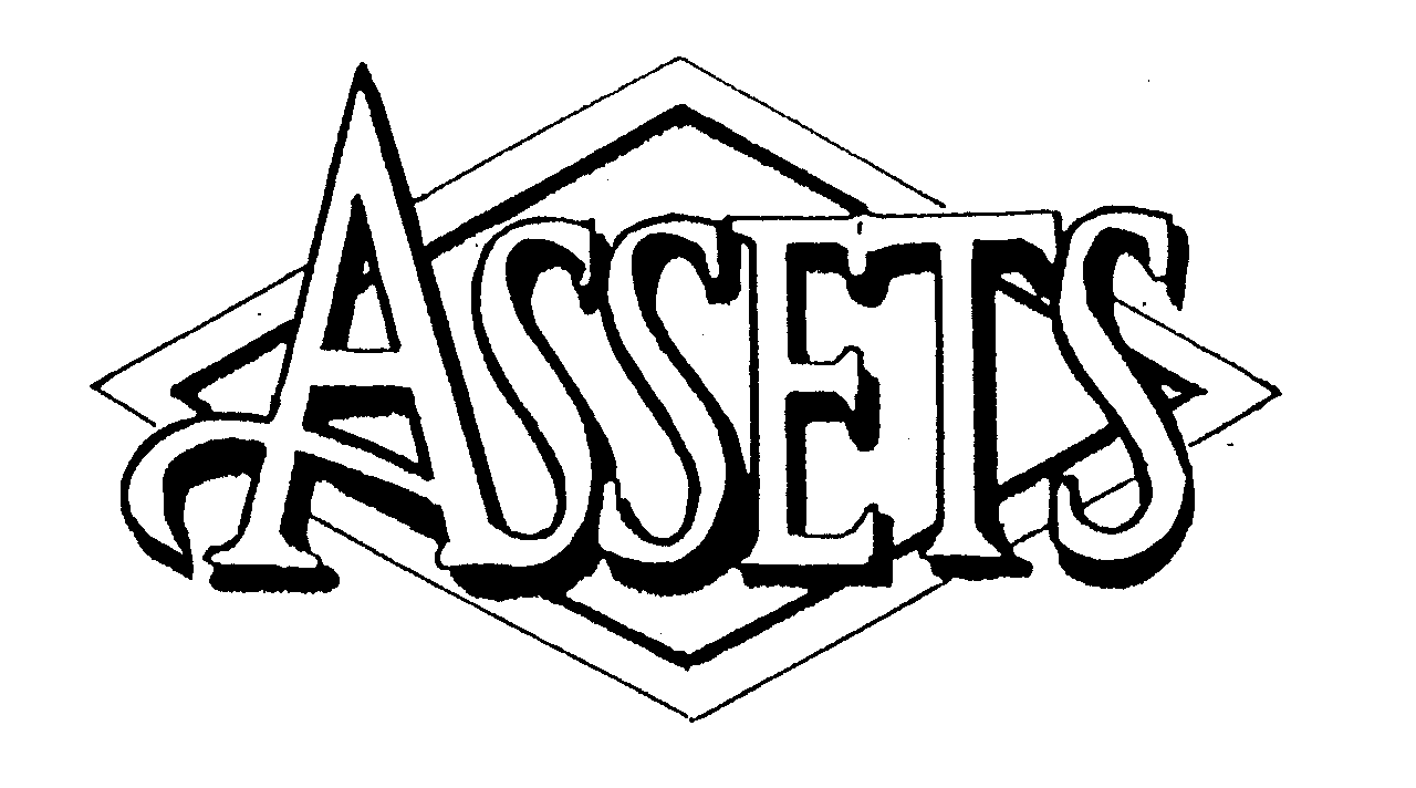Trademark Logo ASSETS