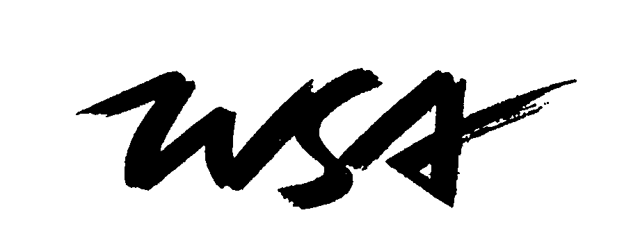  WSA