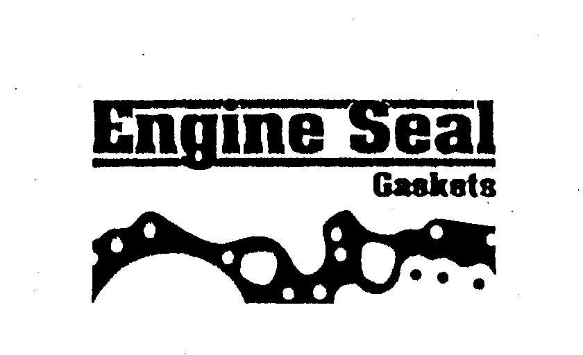  ENGINE SEAL GASKETS