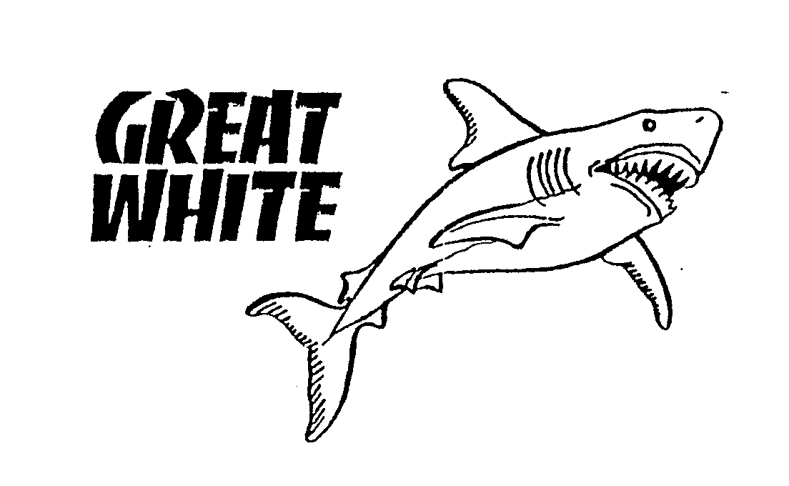  GREAT WHITE