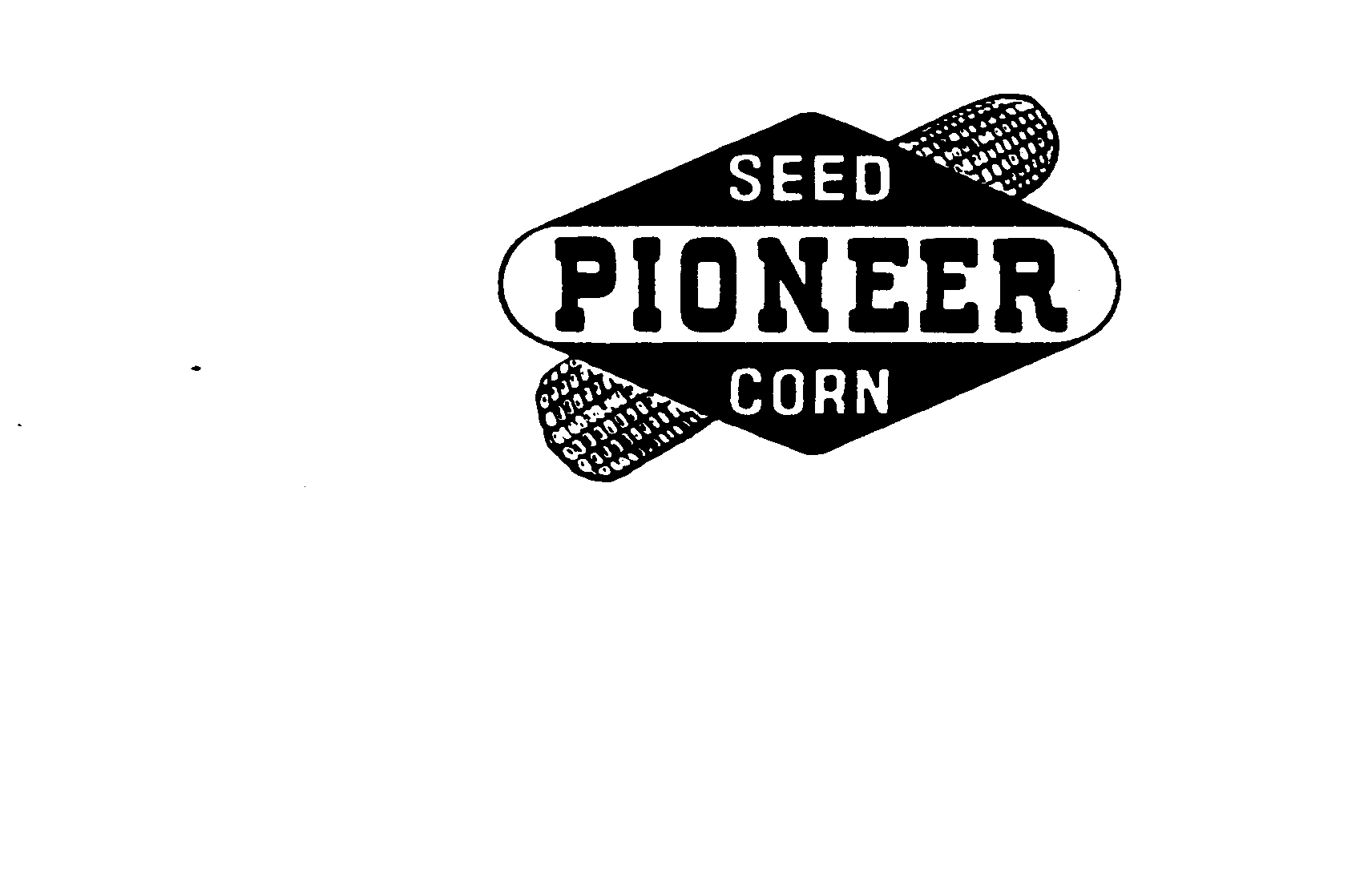  PIONEER SEED CORN