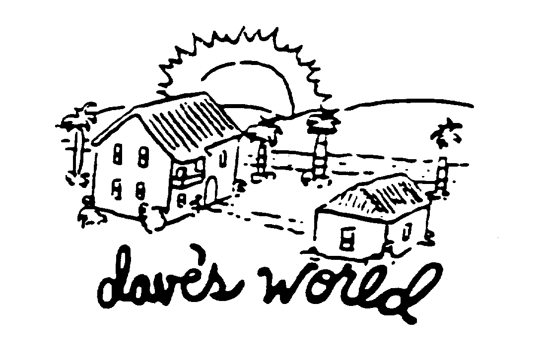  DAVE'S WORLD