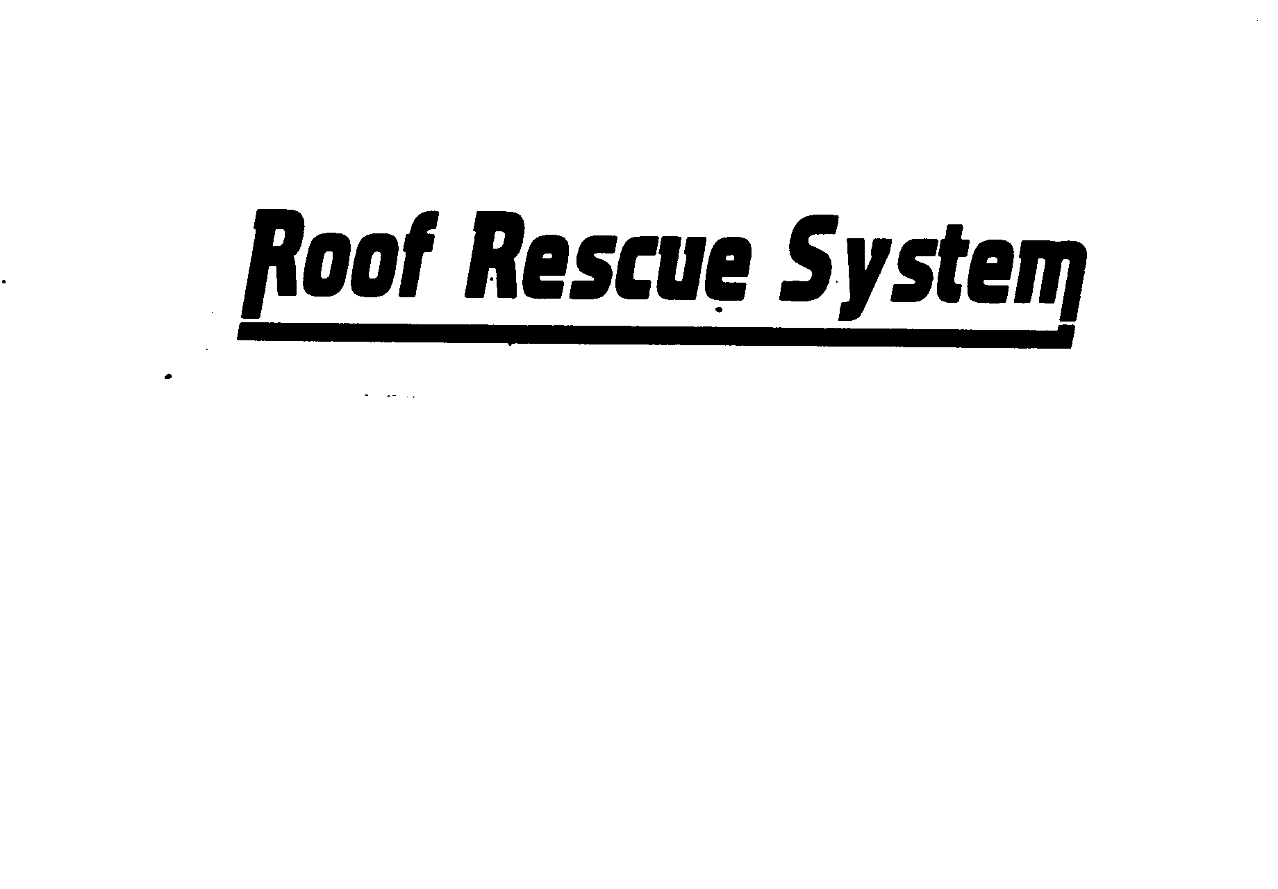  ROOF RESCUE SYSTEM