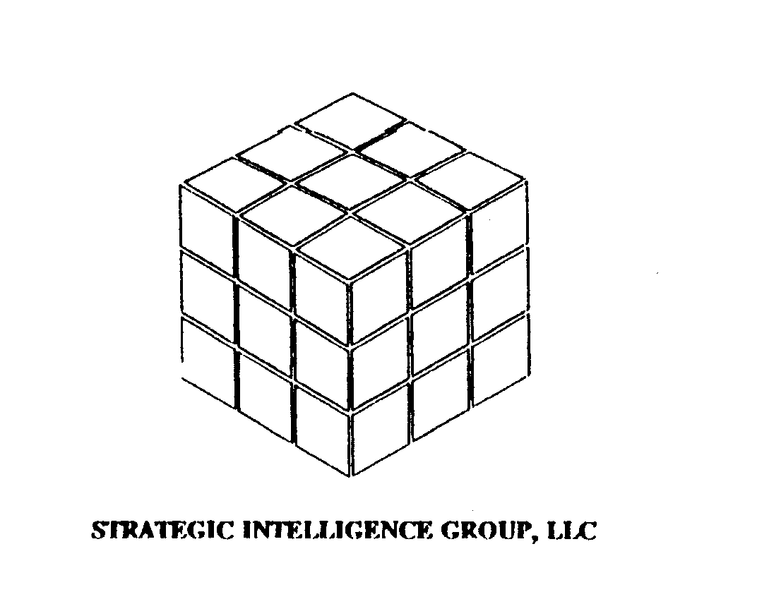  STRATEGIC INTELLIGENCE GROUP, LLC